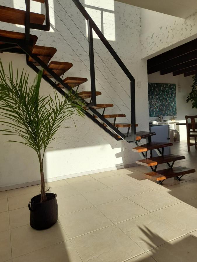 Casa Luminosa Con Parque Y Vista Espectacular Apartamento El Calafate Exterior foto
